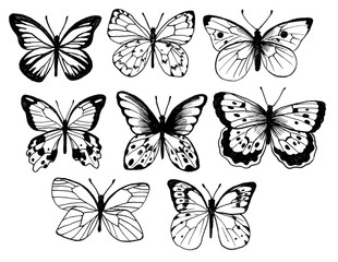 Naklejka na ściany i meble Butterflies. Vintage elegant black ink set. Delicate print design.