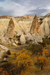 Fototapeta na wymiar Red pointed Rocks among eroded yellow tuff and Fall colors in the Red Valley Cappadocia Turkey