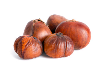 Chestnut an Isolated on white background