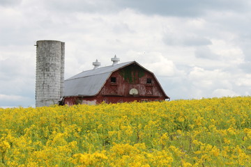 The Hoosier Barn