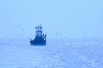 fishing boat and seagulls