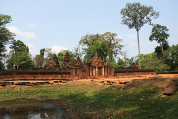 Temple architecture, sculptures and big trees in Southeast Asian countries