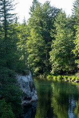Fototapeta na wymiar water flowing along green river in washington state in forest