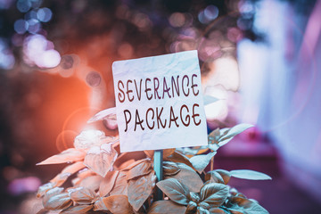 Word writing text Severance Package. Business photo showcasing pay and benefits employees receive when leaving employment Plain empty paper attached to a stick and placed in the green leafy plants