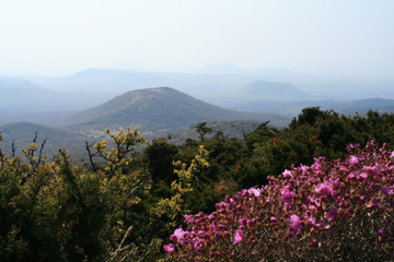 the spring of Mt. Halla