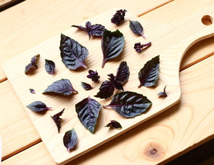 ダークオパールバジル