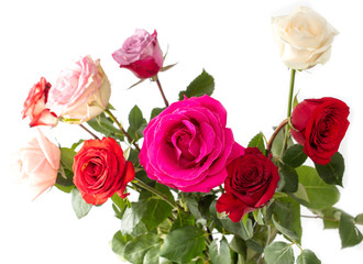 Beautiful rose bouquet isolated on a white