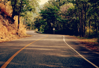 Obraz premium Asphalt road through the forest, natural background