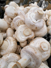 Champignon mushrooms in the store as a background