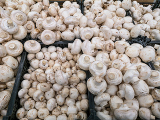 Champignon mushrooms in the store as a background