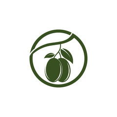 Olive logo template vector icon illustration