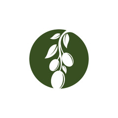 Olive logo template vector icon illustration
