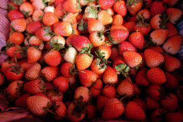 background from freshly harvested strawberries, organic berries macro
