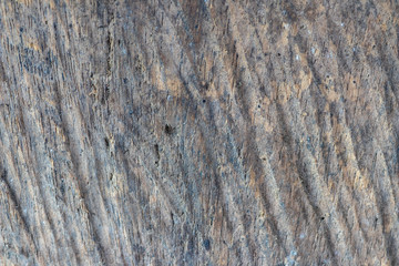 old wooden texture background