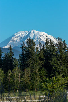 Mount Rainier Rising Over Forest And Farm Land