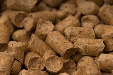 Close-up macro filler for cat pet pet toilet.
