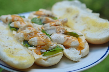 Chicken hotdog ready to eat at garden , High angle view