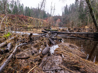 landscape with sandstone cliff and river