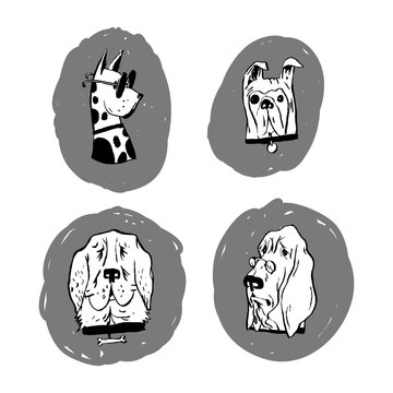 Four portraits of dogs. Black and white vector illustration, well suited for wrapping packaging, posters, prints on t-shirts, can be used on the banner.