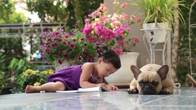 French bulldog lying on floor together with cute little girl.