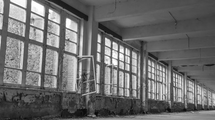 A row of old windows in an abandoned building