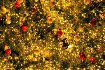 The big christmas tree in the main square of Bologna by night