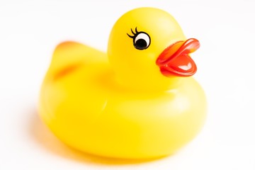 Yellow Rubber Duck isolated against white
