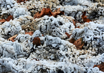 salt crystals on the ground