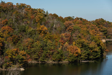 Fototapeta na wymiar 湖と紅葉
