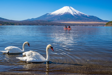 富士山　白鳥　山中湖　日本
