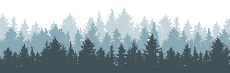 Coniferous winter forest background. Nature, landscape. Pine, spruce, christmas tree. Fog evergreen coniferous trees. Silhouette vector illustration © nosyrevy