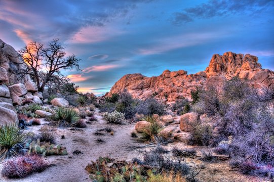 USA, Joshua Tree Nationalpark, blaue Stunde mit Felsen