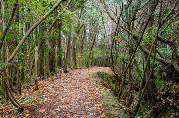 滋賀　音羽山　東海自然歩道