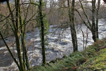 La Vézère au Saillant (Corrèze)