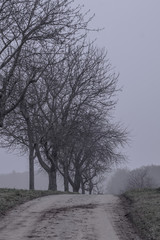 A cold Winter road