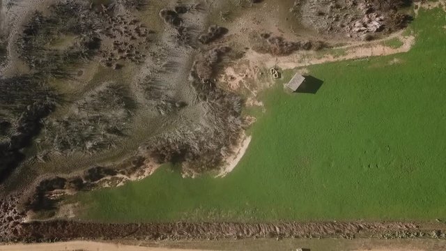 Aerial view of the marsh with a raptor flying.