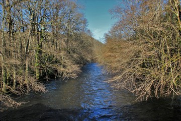 La Vézère au Saillant (Corrèze)
