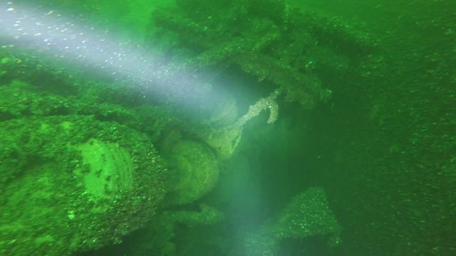 Nurkowanie Diving Buceo Mergulho Tauchen