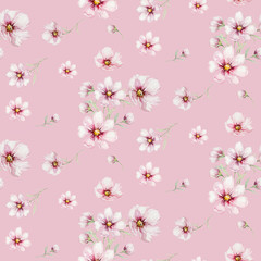 Seamless pattern of blossom pink cherry flowers in watercolor style with white background. Summer blooming japanese sakura branch decoration