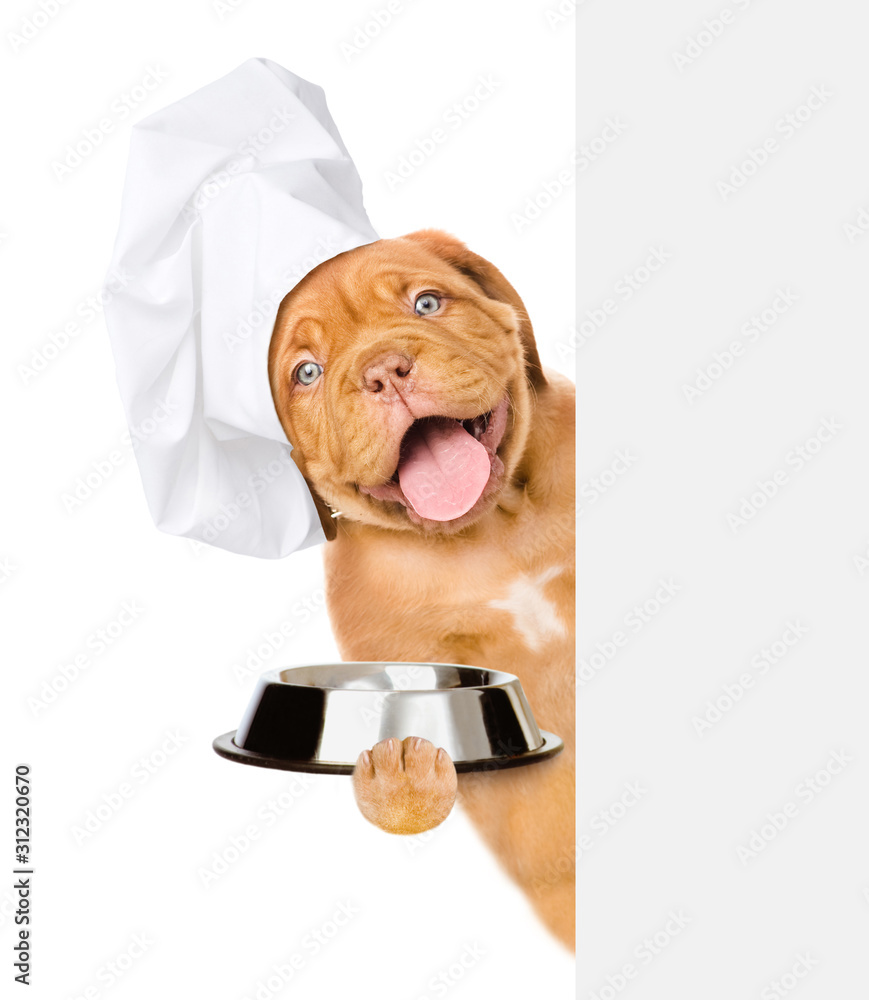 Poster funny dog wearing a chef's hat holds empty bowl behind empty banner. isolated on white background