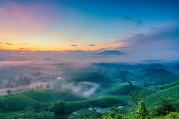 Overview of Long Coc green tea hill, Phu Tho, Vietnam.