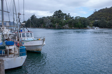 Fototapeta na wymiar Coromendel coast New Zealand Ferry