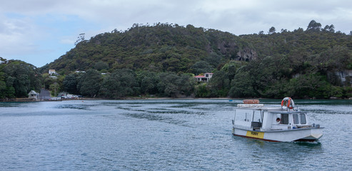 Coromendel coast New Zealand Ferry