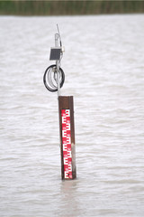 Wasserstand