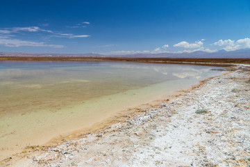 Laguna Cejar near San Pedro de Atacama in Chiile