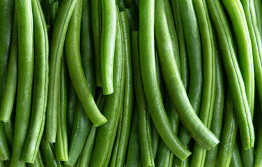 Fresh Green String Bean Pods