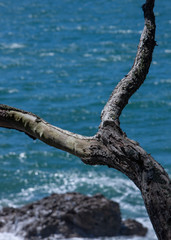 Tauranga New Zealand. Mount Maunganui. Coast. Ocean. 