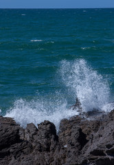 Fototapeta na wymiar Tauranga New Zealand. Mount Maunganui. Coast. Ocean. Waves.