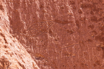 Petroglyph at Jere Valley near San Pedro de Atacama in Chile.
