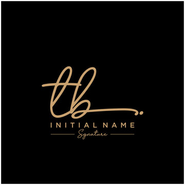 Letter TB Signature Logo Template Vector